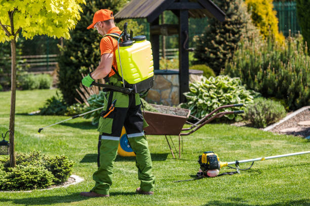 Lawn Pest Control in Western Springs, IL